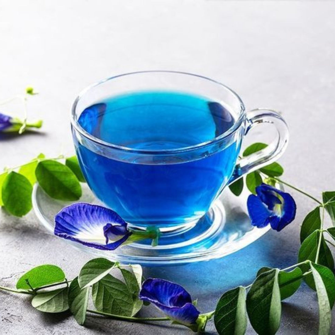 Butterfly Blue Pea In Tin